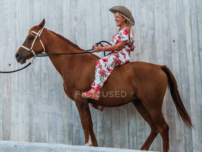 Side view full body of smiling senior female in cowboy hat holding rein on chestnut stallion — Stock Photo