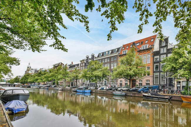 Case classiche con finestre situate su strada con alberi verdi vicino al canale d'acqua con barche nella città di Amsterdam — Foto stock