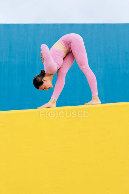 Vista laterale della vestibilità femminile in abbigliamento sportivo rosa praticare yoga in piedi in avanti Piegare posa su sfondo blu e giallo — Foto stock