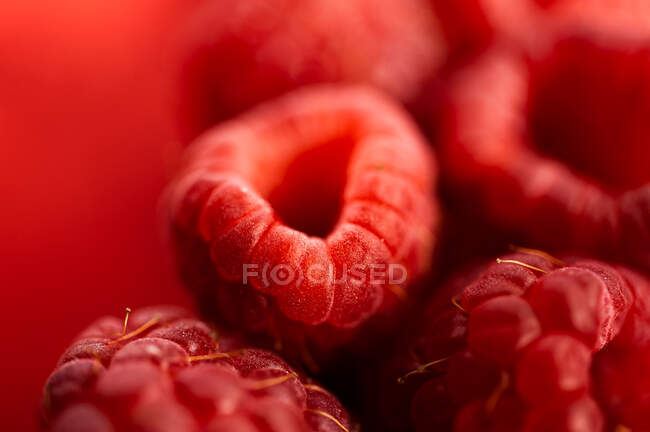 Fechar de deliciosa framboesa vermelha madura doce fresca — Fotografia de Stock