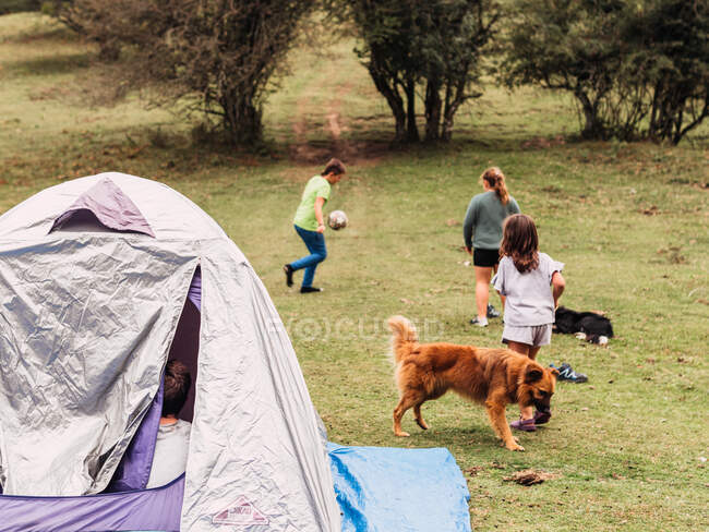 Viajeros irreconocibles en ropa casual jugando con pelota en prado herboso cerca de niña y curioso Pastor Garafiano perro en el camping - foto de stock