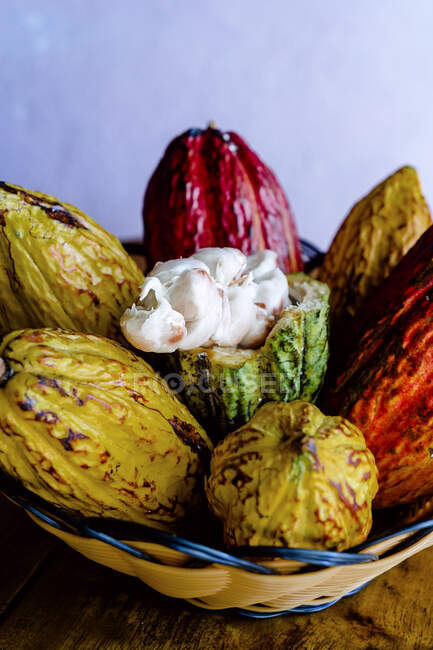 Зверху кошик зі свіжими барвистими рідкісними національними какао-стручками, розміщеними на столі — стокове фото