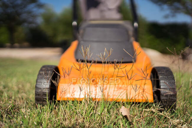 From above modern yellow lawn mower driving and cutting green grass on sunny summer day in yard — Stock Photo