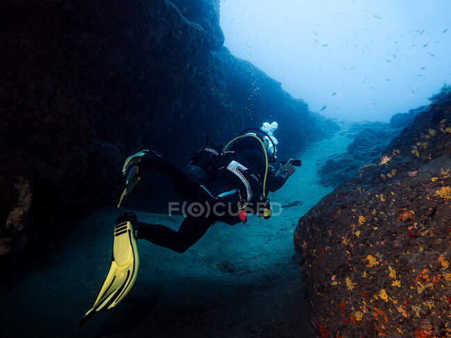 Back view of anonymous sportsman with diving equipment exploring sea with swimming fish and mountains — Stock Photo