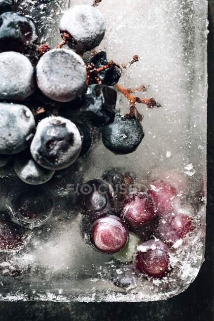 Vista superior del trozo de hielo con uvas colocadas en bandeja metálica a la luz del sol - foto de stock