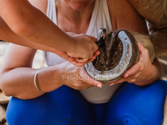 Cultiver femme de cheval méconnaissable avec assistant nettoyage de la boue de sabot avec fer à cheval dans l'écurie — Photo de stock