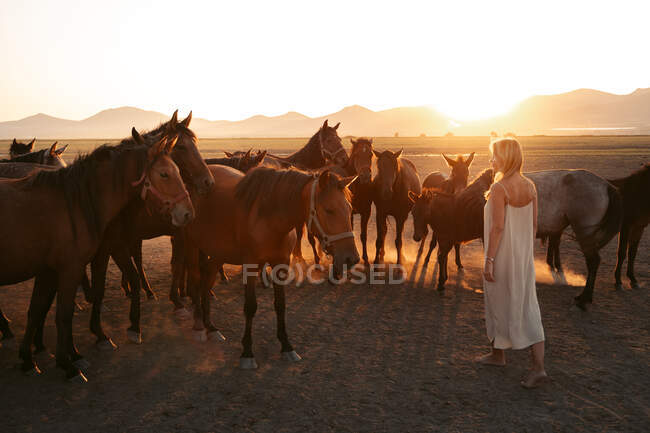 Back view of anonymous lady in white dress with herd of horses in field under sunset — Stock Photo
