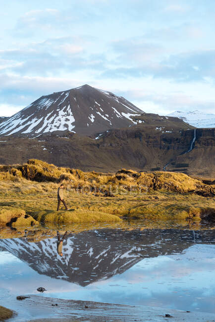 Vista laterale del turista maschio in abiti casual ammirando la natura selvaggia mentre cammina vicino a un lago tranquillo che riflette le montagne innevate in Islanda — Foto stock