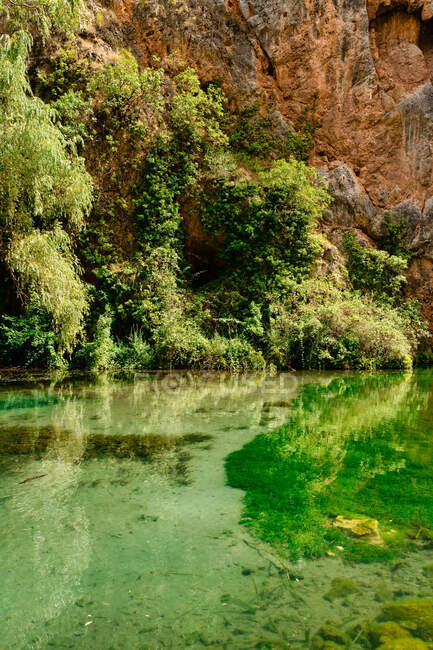 Озеро з прозорими водами, оточене зеленню в сонячний день — стокове фото