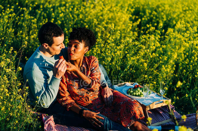 Loving multiracial couple looking at each other while sitting on grassy field with flowers during picnic on sunny summer day — Stock Photo