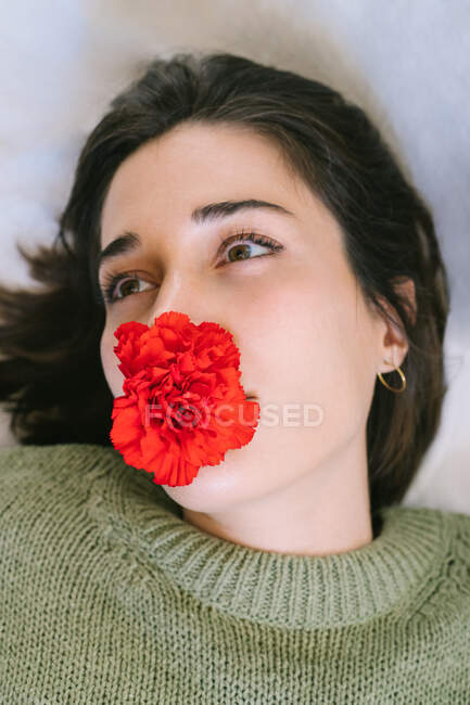 From above of tranquil female with dark hair and blooming red carnation in mouth — Stock Photo