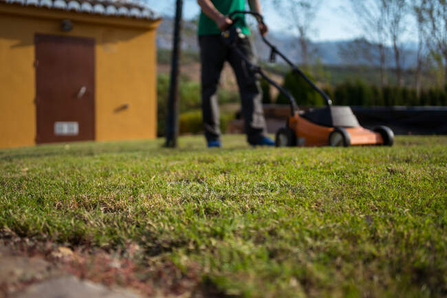 Cropped unrecognizable mum gardener mowing grassy lawn near bushes and trees in summer — Stock Photo