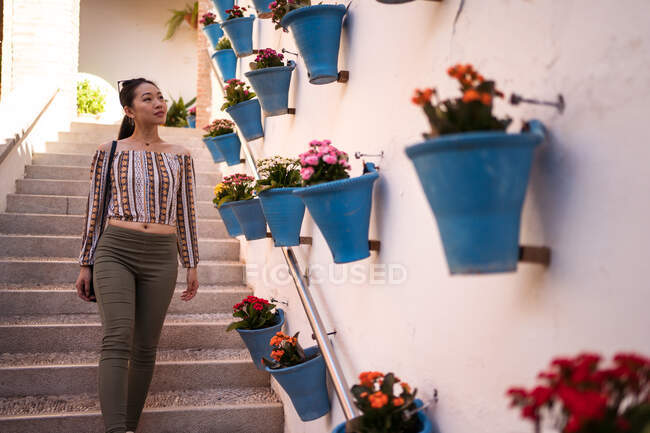 Atraente turista asiática em pé na escadaria perto da parede, enquanto observa várias flores em vasos na cidade de Córdoba, na Espanha — Fotografia de Stock