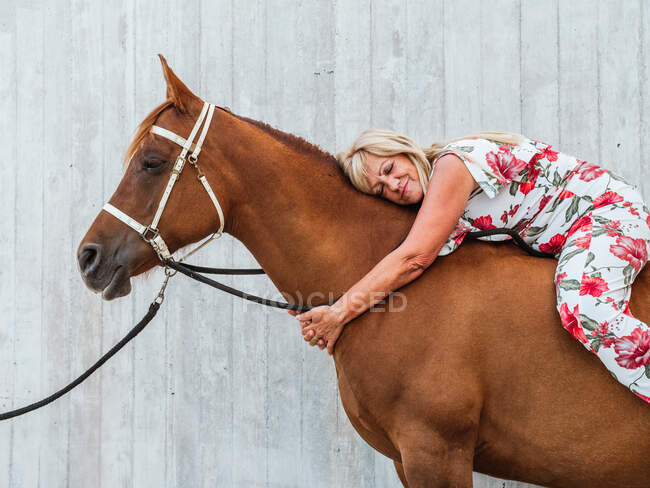 Side view of smiling senior female lying on chestnut stallion — Stock Photo