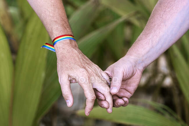 Ernte unkenntlich Männer Homosexuell Händchen haltend und gegen grüne Pflanzen wachsen auf So Tom und Prncipe Insel bei Tageslicht — Stockfoto