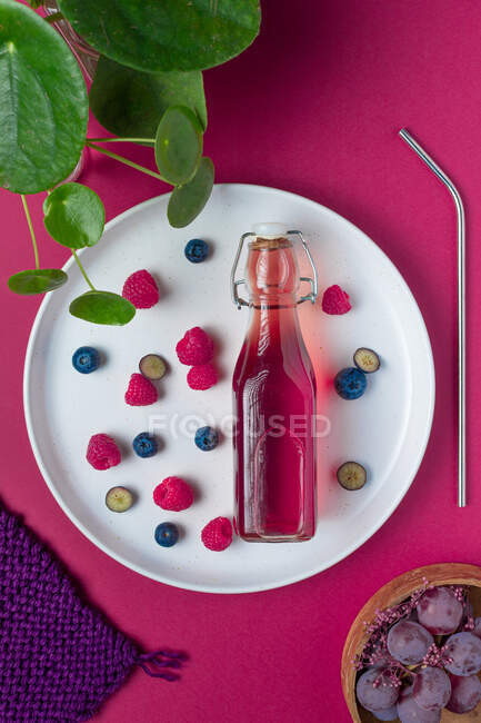 Botella de vidrio vista superior de zumo de frutas colorido servido en plato con bayas maduras sobre fondo rosa con ciruelas y planta verde - foto de stock