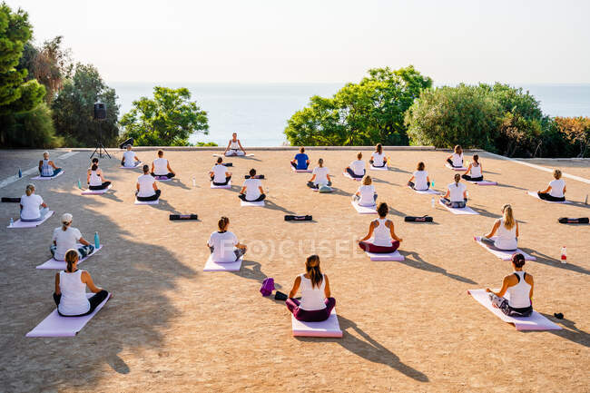 Vista posterior de personas irreconocibles en ropa deportiva sentadas en esteras y haciendo Padmasana mientras practican yoga en el patio en verano - foto de stock