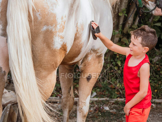 Vista lateral del niño cariñoso con cepillo peinando piel de caballo en arnés en el campo - foto de stock