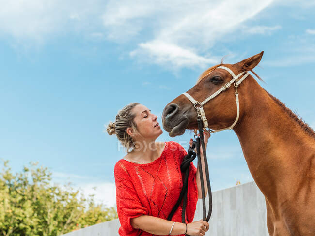 Cavaleiro fêmea gentil segurando freio de cavalo castanho no quintal no dia de verão no campo — Fotografia de Stock