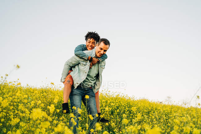 Romántico joven sonriendo y dando paseo a cuestas a alegre novia afroamericana en el exuberante prado amarillo floreciente en el campo - foto de stock