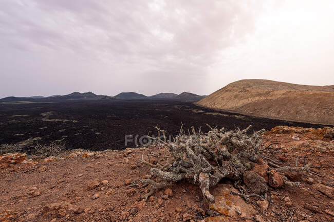 Picturesque view of crater of canic Caldereta against the mounts and sea under light sky in Lanzarote Canary Islands Spain — стокове фото