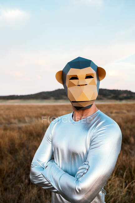 Persona anónima con máscara geométrica de mono mirando a la cámara en el campo amarillo sobre fondo borroso - foto de stock