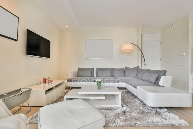 Комфортний диван і крісло перед телевізором в стильній просторій квартирі — стокове фото