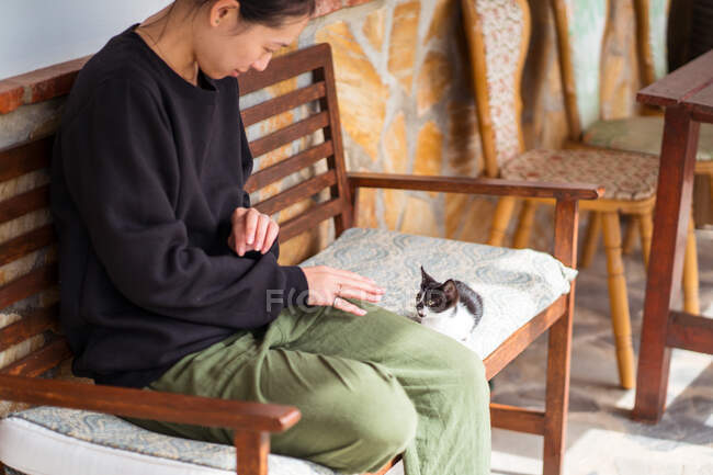 Contenida joven mujer étnica interactuando con gatito adorable mientras está sentado con las piernas cruzadas en el banco - foto de stock