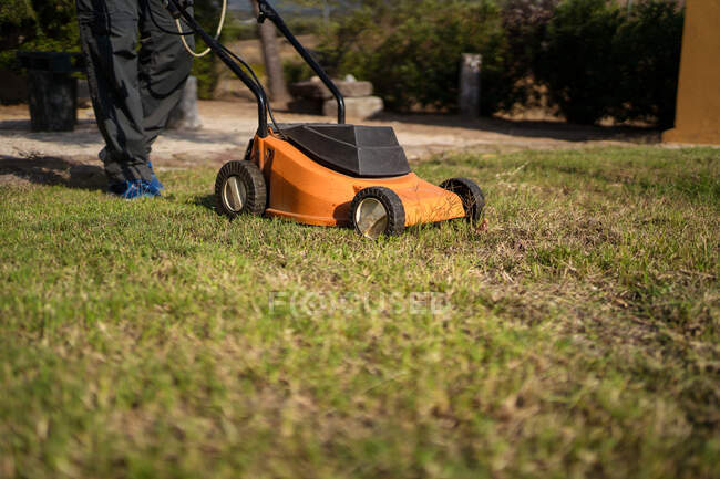 Male gardener mowing grassy lawn near bushes and trees in summer — Stock Photo