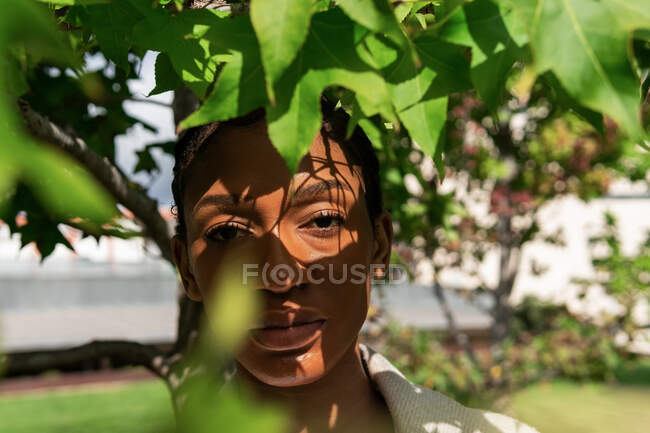 Mulher afro-americana séria com cabelo curto olhando para a câmera enquanto estava perto de galhos de árvores exuberantes com folhas verdes na rua ensolarada — Fotografia de Stock