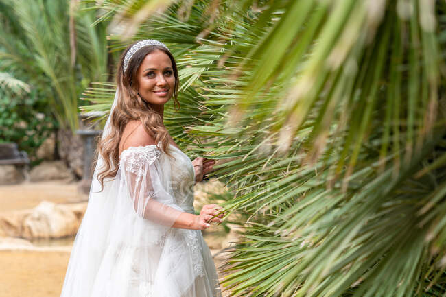 Mujer positiva con el pelo rizado en vestido de novia blanco mirando hacia otro lado mientras está de pie cerca de árboles verdes exóticos durante la celebración de vacaciones - foto de stock