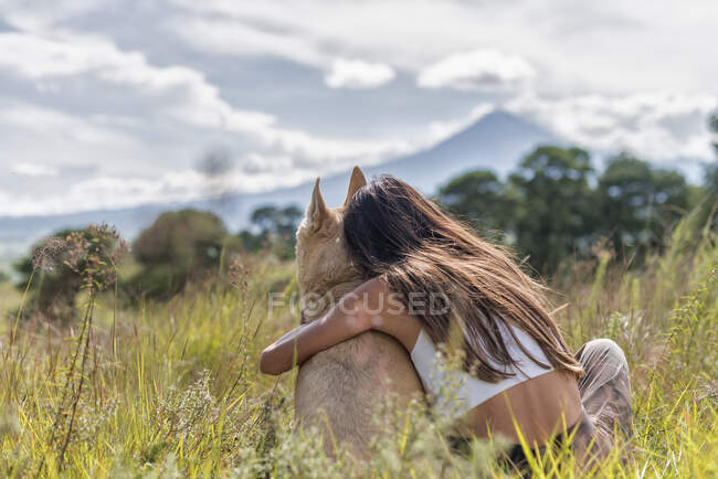 Visão traseira do proprietário feminino e cão obediente abraçado enquanto descansava no campo gramado com árvores altas — Fotografia de Stock