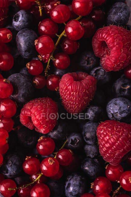 Nahaufnahme von köstlichen frischen süßen reifen roten Beeren — Stockfoto