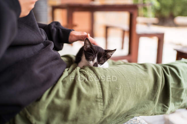 Cultivo irreconocible hembra abrazando lindo bebé gato mientras está sentado en el banco en el día en tiempo ventoso - foto de stock