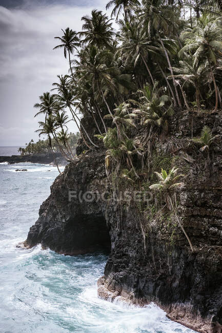 Picturesque scenery of lush palm trees growing on rough rocky cliff in powerful wavy ocean against overcast sky — Stock Photo