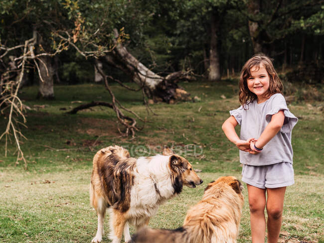 Adorable petite fille en tenue décontractée souriant et jouant avec des chiens de race obéissants sur prairie herbeuse dans le parc — Photo de stock