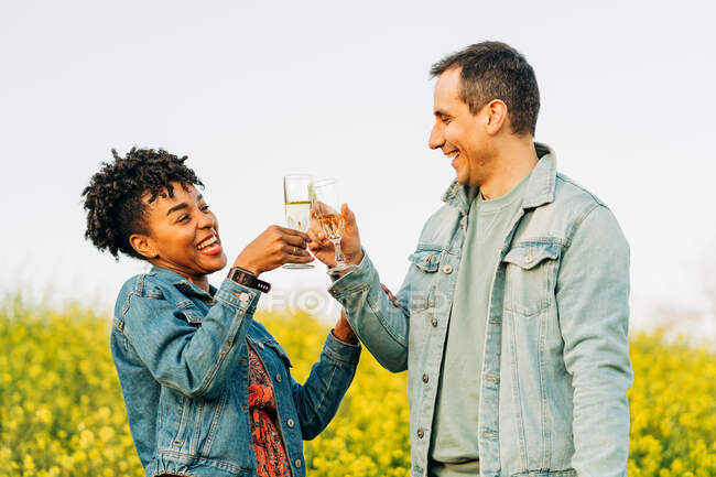 Jovem alegre e mulher negra em casacos de ganga sorrindo e copos de champanhe enquanto em pé no prado verde florescendo durante a data romântica na natureza — Fotografia de Stock