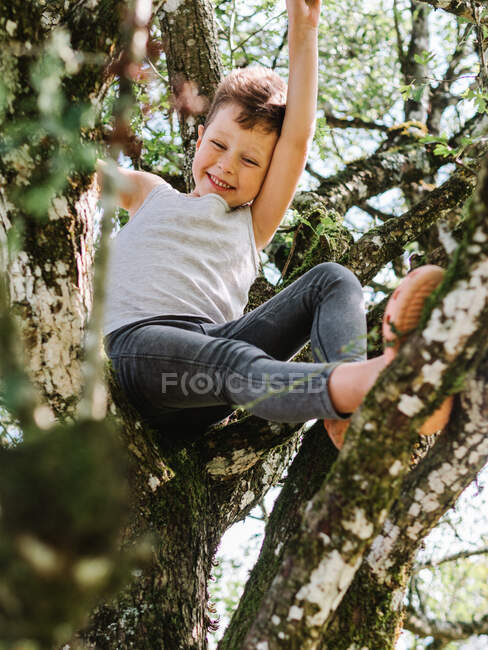 De baixo do corpo cheio do menino arriscado positivo que senta-se em galhos da árvore ao ter o divertimento na natureza no dia do verão — Fotografia de Stock
