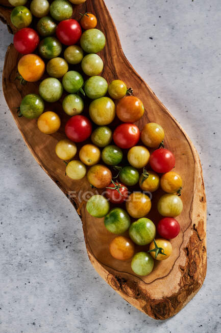 From above of ripe red and unripe cherry tomatoes collected in farm during harvest season — Stock Photo