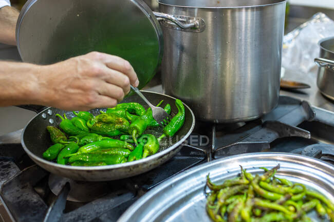 Alto ángulo de cultivo anónimo macho chef con tenedor freír vainas de pimiento verde en la cocina de gas - foto de stock