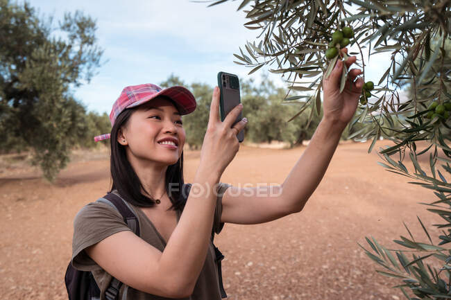 Улыбающаяся азиатка в кепке фотографирует зеленое оливковое дерево на современном смартфоне, стоя в роще — стоковое фото