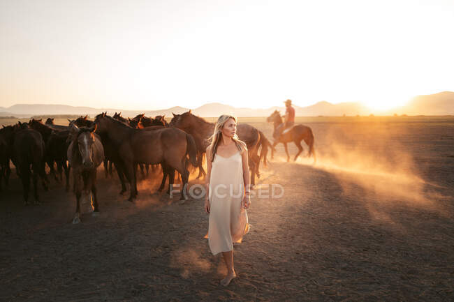 Mulher loira em vestido branco olhando para longe com rebanho de cavalos no campo sob o pôr do sol — Fotografia de Stock