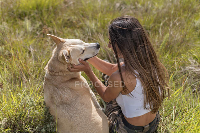 De cima de proprietário do sexo feminino e cão obediente olhando um para o outro, enquanto descansando em campo gramado com árvores altas — Fotografia de Stock