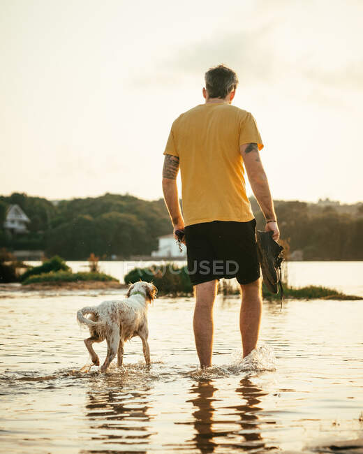 Full body of anonymous male owner with boots in hands walking in water near running dog on summer day in nature — Stock Photo