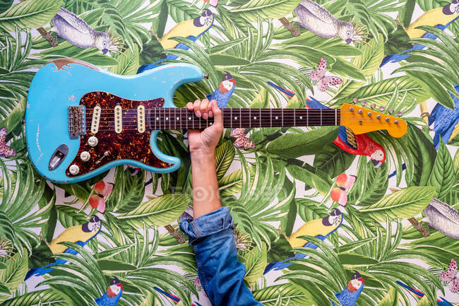 Невпізнаваний культуролог, який показує електричну гітару проти яскравих картин листя і папуг на стіні — стокове фото