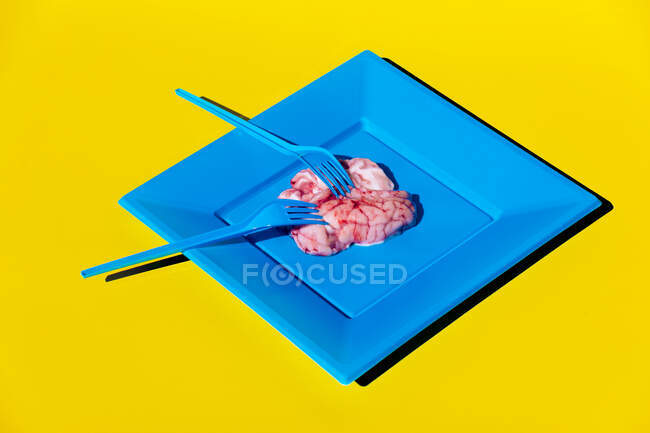 Heap of pink raw brains served on blue plate with plastic fork on yellow background in light modern creative studio — Stock Photo