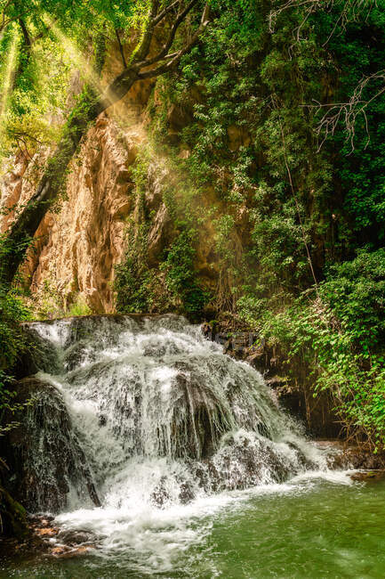 Seitenansicht des Wasserfalls unter den Bäumen an einem sonnigen Tag — Stockfoto