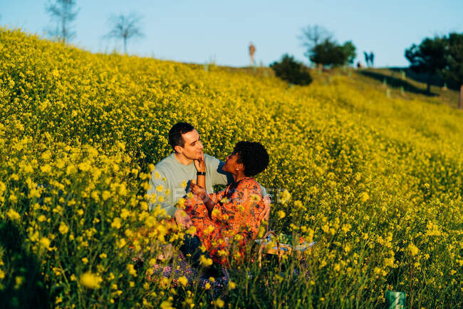 Amar a la pareja multirracial mirándose mientras están sentados en el campo de hierba con flores durante el picnic en el soleado día de verano - foto de stock