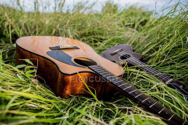 Guitare acoustique et ukulélé placés sur l'herbe verte poussant dans la nature en été à la lumière du jour — Photo de stock