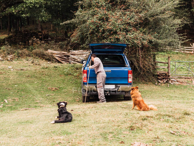 Vista lateral do viajante masculino irreconhecível com cães bonitos em roupas casuais de pé perto do carro off road estacionado no prado gramado no campo — Fotografia de Stock